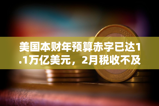 美国本财年预算赤字已达1.1万亿美元，2月税收不及支出一半