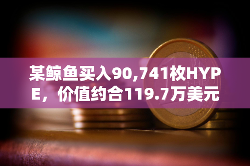 某鲸鱼买入90,741枚HYPE，价值约合119.7万美元