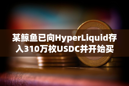 某鲸鱼已向HyperLiquid存入310万枚USDC并开始买入HYPE