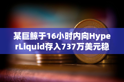 某巨鲸于16小时内向HyperLiquid存入737万美元稳定币并增持40万枚HYPE