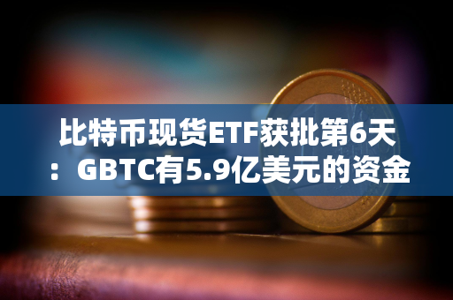 比特币现货ETF获批第6天：GBTC有5.9亿美元的资金流出