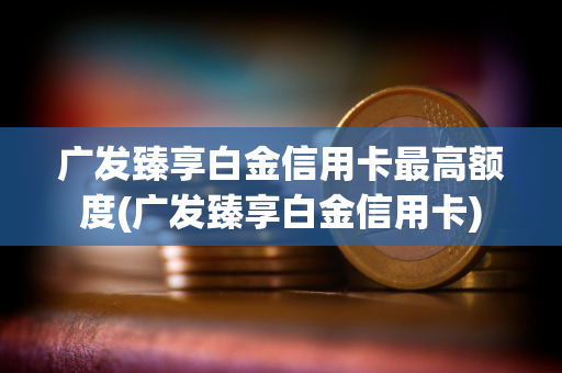 广发臻享白金信用卡最高额度(广发臻享白金信用卡)