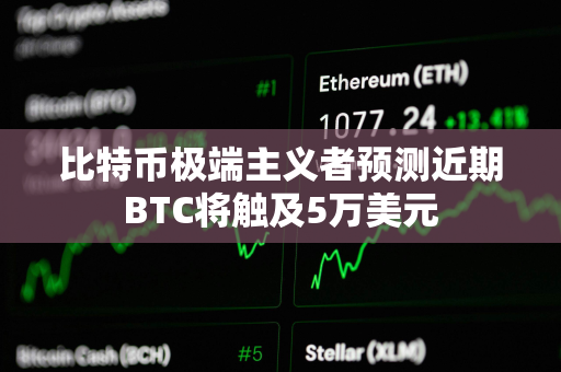 比特币极端主义者预测近期BTC将触及5万美元