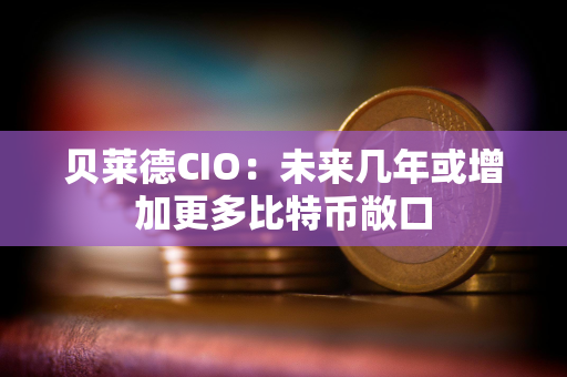 贝莱德CIO：未来几年或增加更多比特币敞口