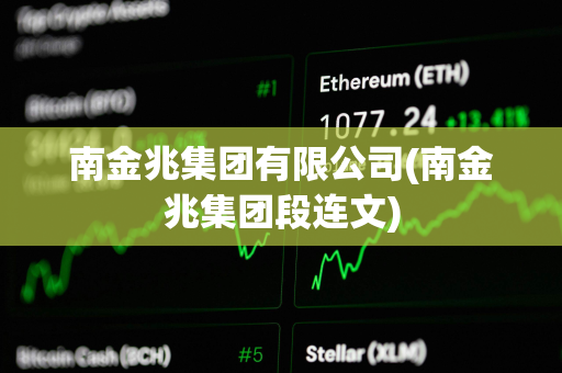 南金兆集团有限公司(南金兆集团段连文)