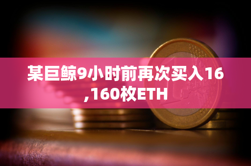 某巨鲸9小时前再次买入16,160枚ETH