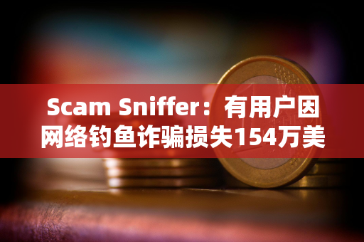 Scam Sniffer：有用户因网络钓鱼诈骗损失154万美元