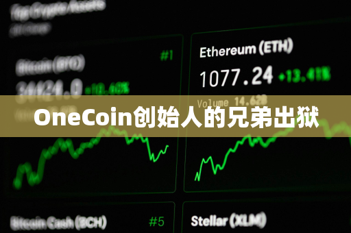 OneCoin创始人的兄弟出狱