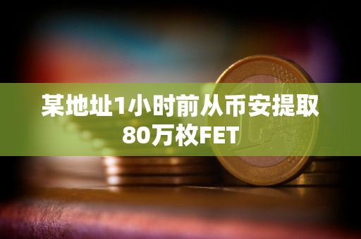 某地址1小时前从币安提取80万枚FET