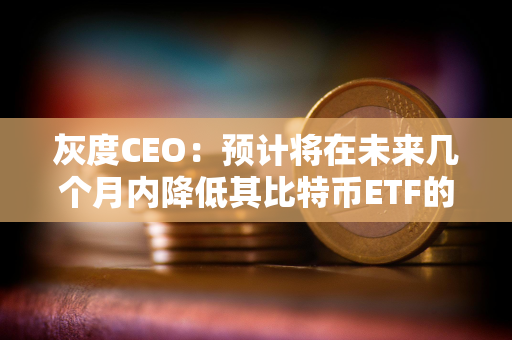 灰度CEO：预计将在未来几个月内降低其比特币ETF的费用