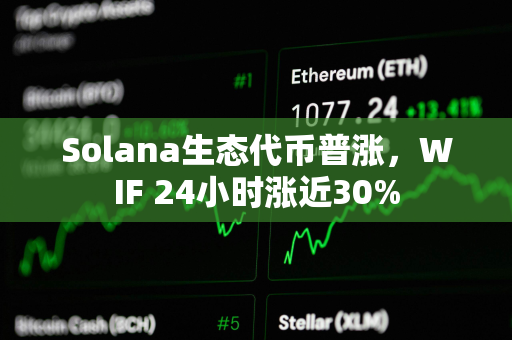 Solana生态代币普涨，WIF 24小时涨近30%