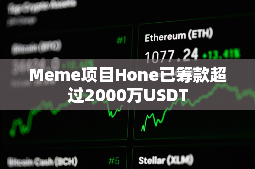 Meme项目Hone已筹款超过2000万USDT