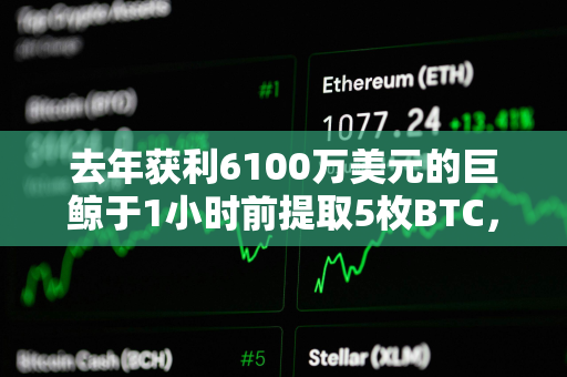 去年获利6100万美元的巨鲸于1小时前提取5枚BTC，或作为测试交易