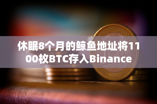 休眠8个月的鲸鱼地址将1100枚BTC存入Binance