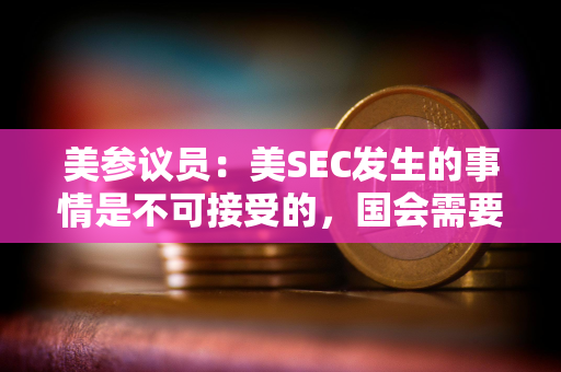 美参议员：美SEC发生的事情是不可接受的，国会需要答案