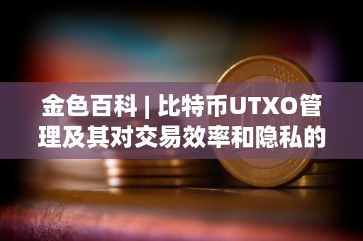 金色百科 | 比特币UTXO管理及其对交易效率和隐私的影响