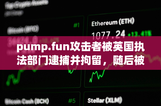 pump.fun攻击者被英国执法部门逮捕并拘留，随后被保释