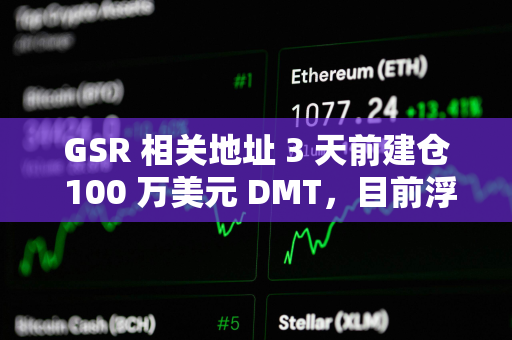 GSR 相关地址 3 天前建仓 100 万美元 DMT，目前浮盈 24%