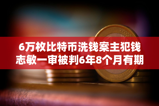 6万枚比特币洗钱案主犯钱志敏一审被判6年8个月有期徒刑