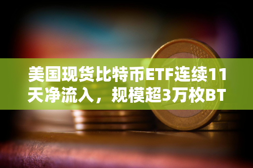 美国现货比特币ETF连续11天净流入，规模超3万枚BTC