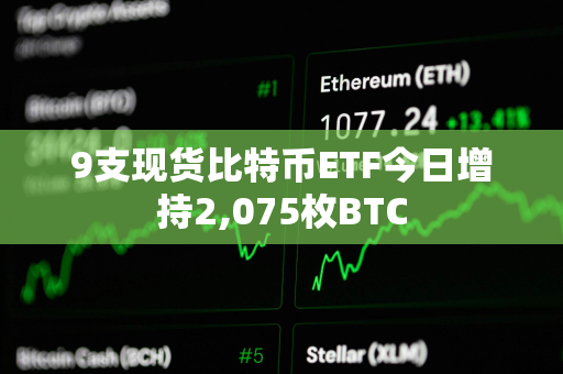 9支现货比特币ETF今日增持2,075枚BTC