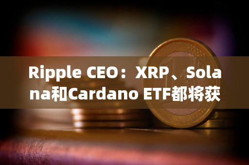 Ripple CEO：XRP、Solana和Cardano ETF都将获批通过