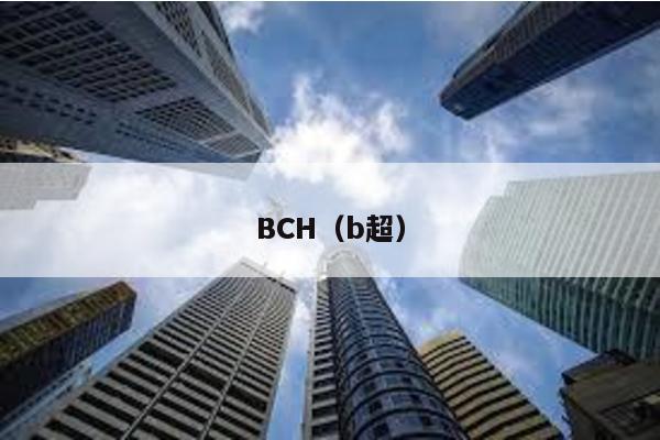 BCH（b超）