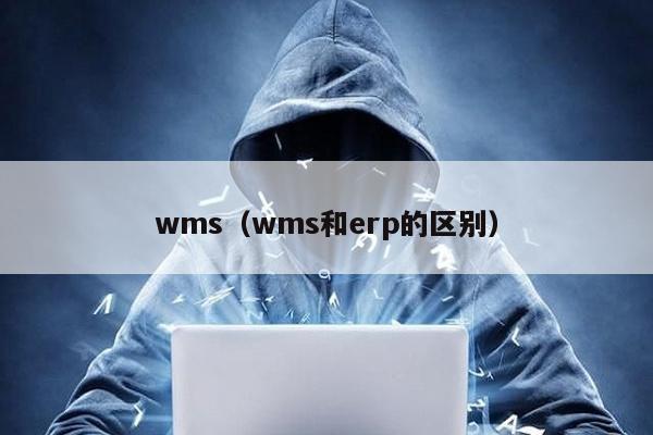 wms（wms和erp的区别）