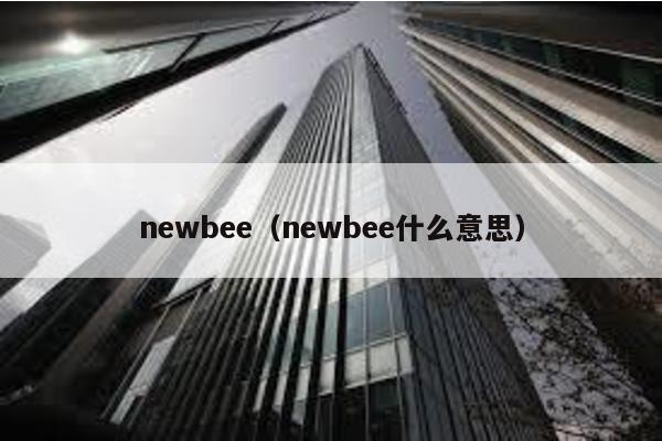 newbee（newbee什么意思）