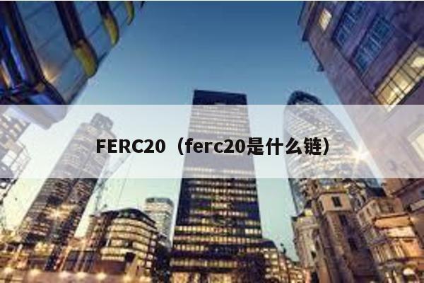 FERC20（ferc20是什么链）