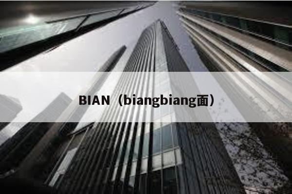 BIAN（biangbiang面）