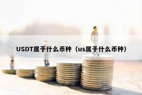 USDT属于什么币种（us属于什么币种）