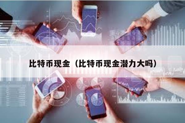 比特币现金（比特币现金潜力大吗）