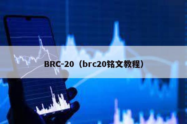 BRC-20（brc20铭文教程）