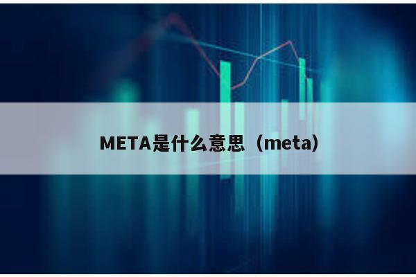 META是什么意思（meta）