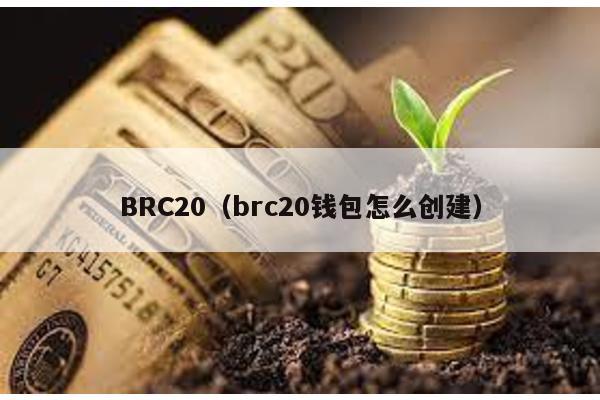 BRC20（brc20钱包怎么创建）