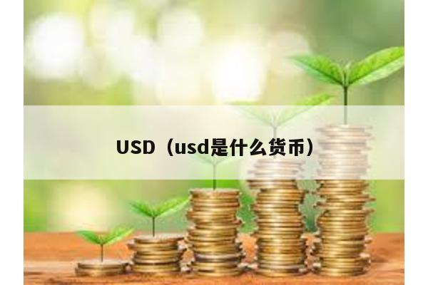 USD（usd是什么货币）