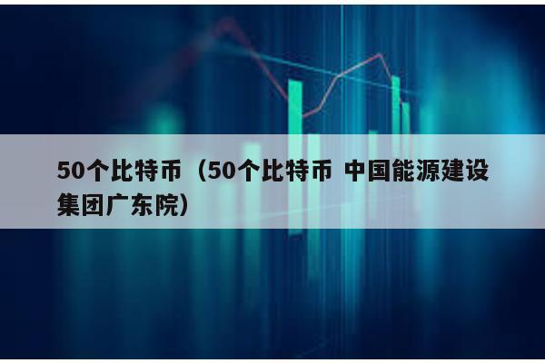 50个比特币（50个比特币 中国能源建设集团广东院）