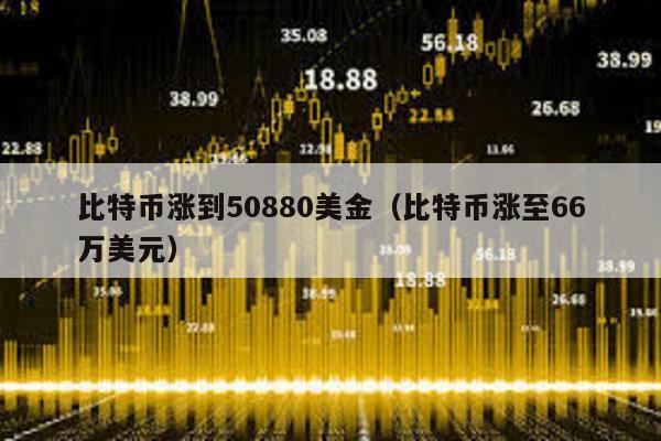 比特币涨到50880美金（比特币涨至66万美元）