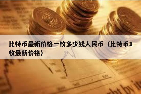 比特币最新价格一枚多少钱人民币（比特币1枚最新价格）