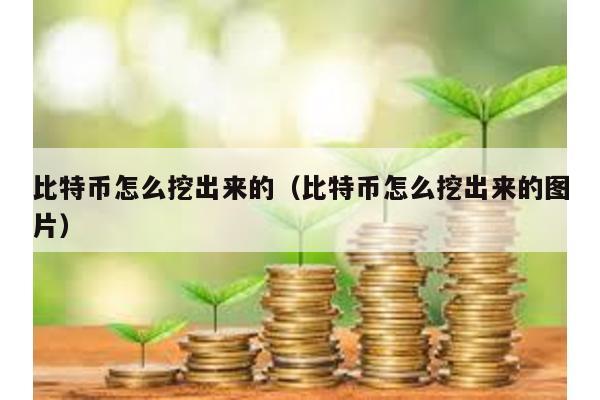 比特币怎么挖出来的（比特币怎么挖出来的图片）