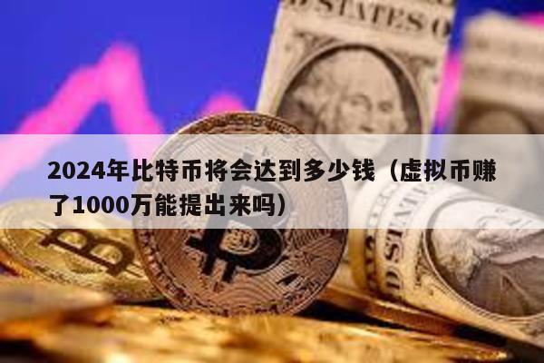 2024年比特币将会达到多少钱（虚拟币赚了1000万能提出来吗）