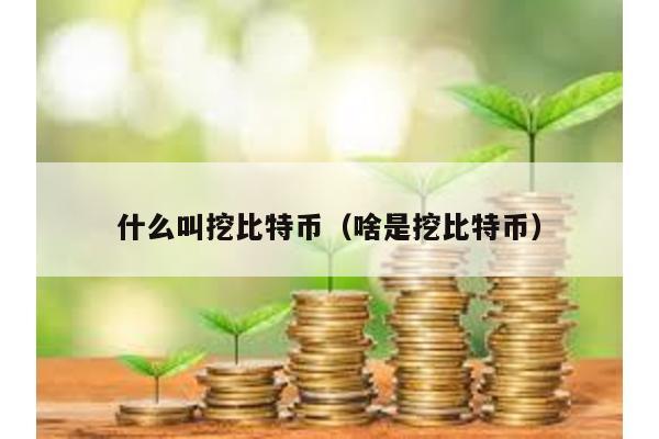 什么叫挖比特币（啥是挖比特币）