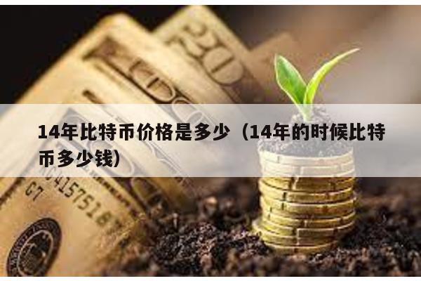 14年比特币价格是多少（14年的时候比特币多少钱）