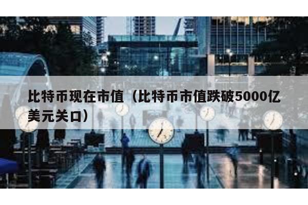 比特币现在市值（比特币市值跌破5000亿美元关口）