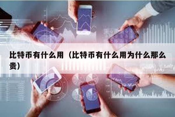 比特币有什么用（比特币有什么用为什么那么贵）