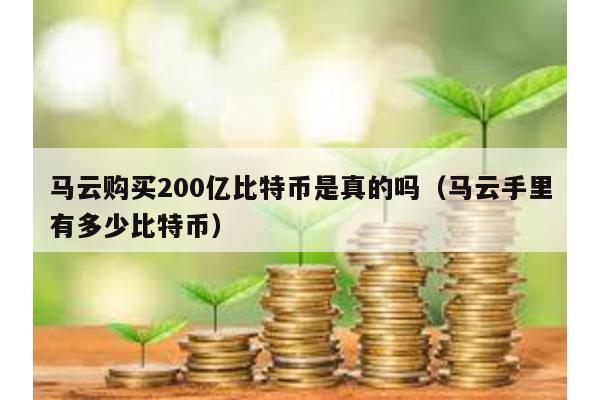 马云购买200亿比特币是真的吗（马云手里有多少比特币）