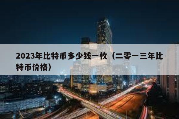 2023年比特币多少钱一枚（二零一三年比特币价格）