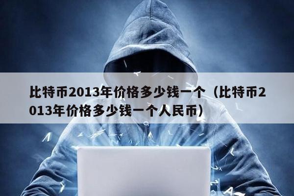 比特币2013年价格多少钱一个（比特币2013年价格多少钱一个人民币）