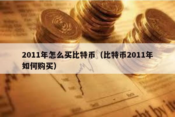 2011年怎么买比特币（比特币2011年如何购买）